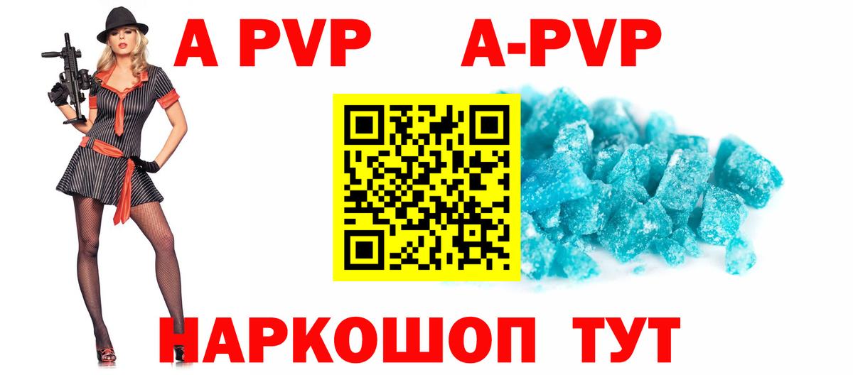 Alfa_PVP СК Сунжа