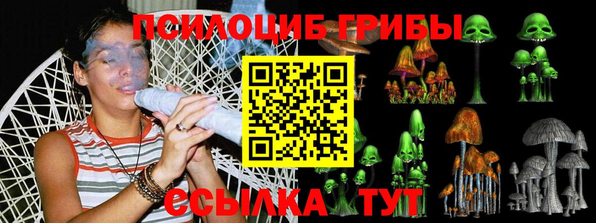 Псилоцибиновые грибы Cubensis  Вход с VPN  закладки  Сунжа 